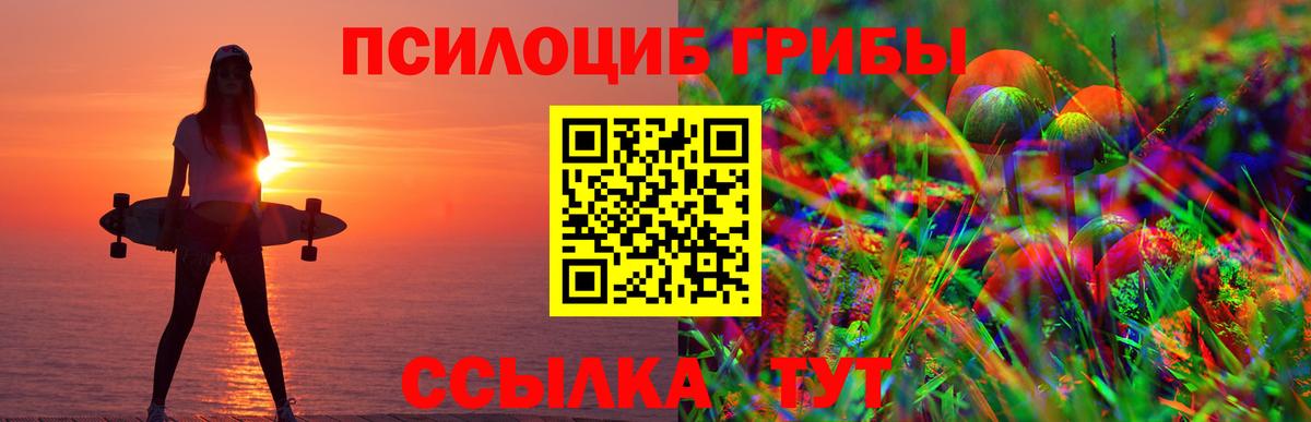 Галлюциногенные грибы прущие грибы Каменка